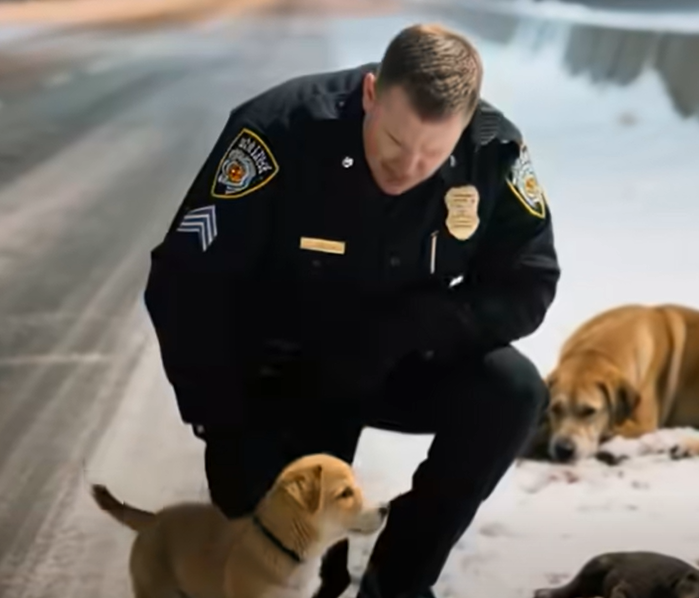 In the Snowy Night, a Puppy Blocks the Police Car – Leading Him to a Painful Secret and the Cruelty of Humanity!